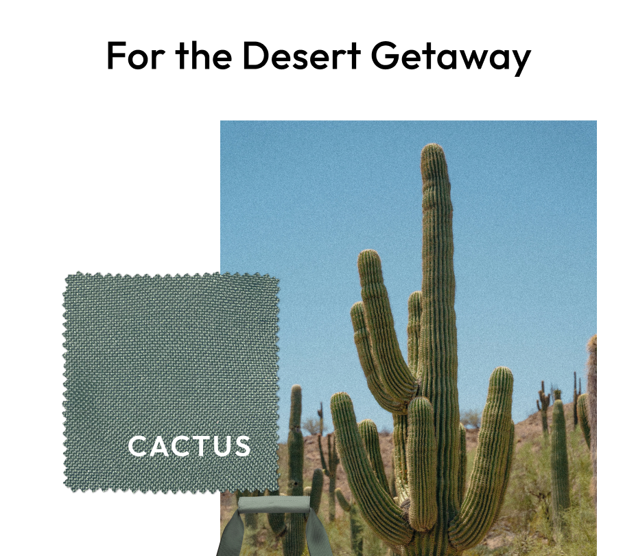 For the Desert Hike