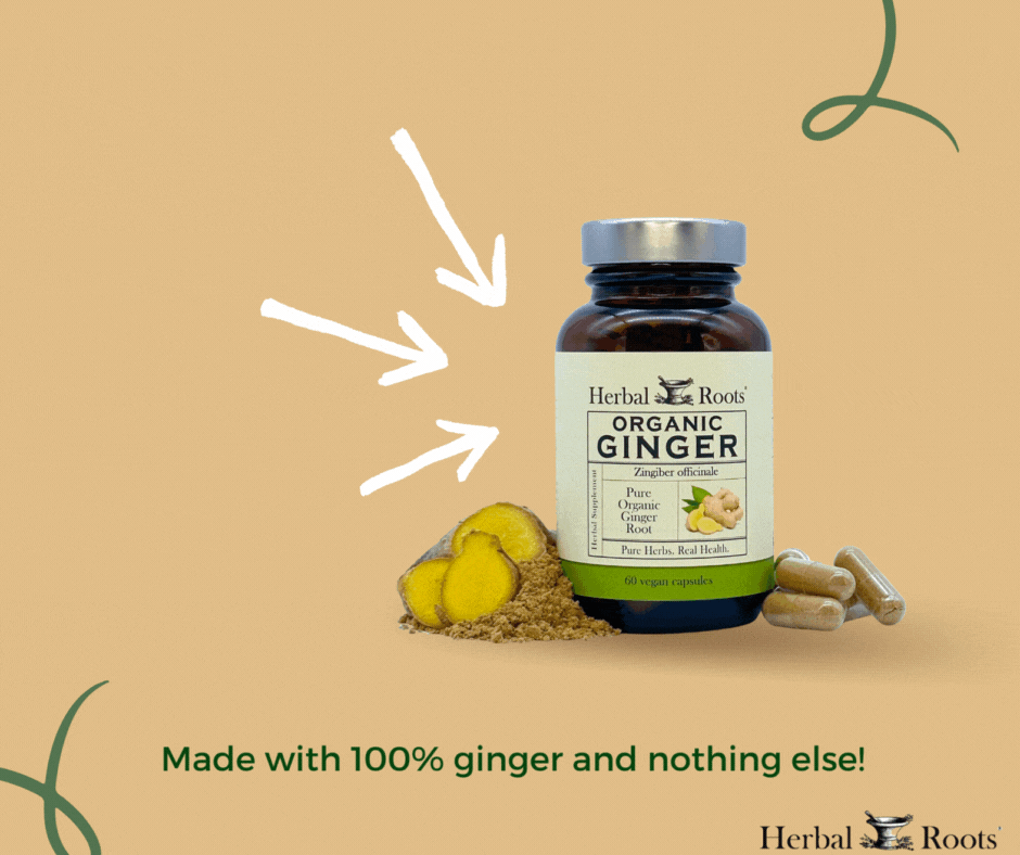 GIF on Ginger indicating that it is Organic, Digestive Health Benefit and Supports the Immune System. There is a bottle of Herbal Roots Ginger Supplement and capsules on the right and ground up ginger root on the left.