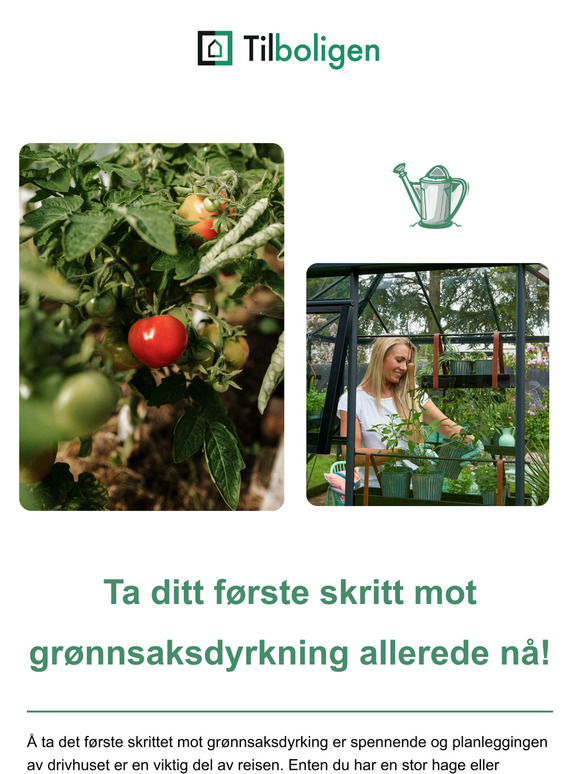 Ta ditt første skritt mot grønnsaksdyrkning allerede nå!