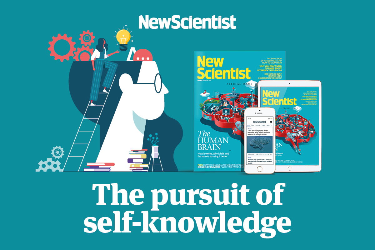 The pursuit of self-knowledge. Image links to offer.
