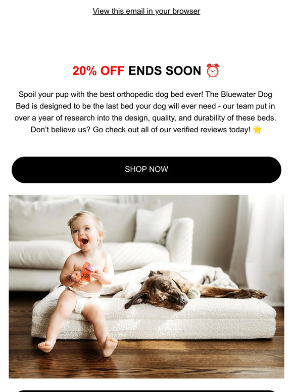 20% OFF ENDS SOON 💥