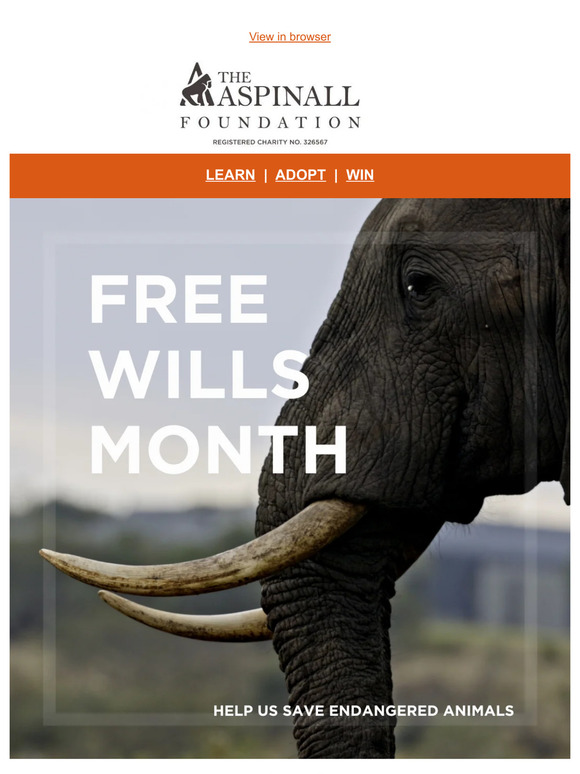 Supporter, will you leave a lasting legacy?