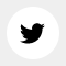 Follow Us On Twitter