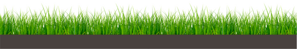 Grass Boarder 