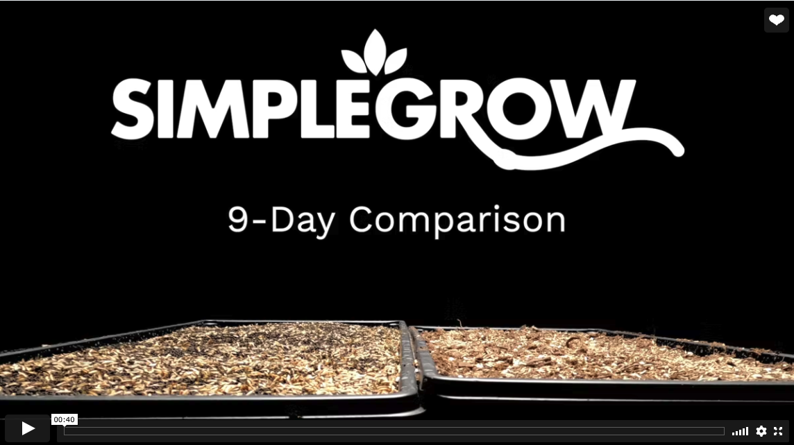 Simple Grow Time Lapse