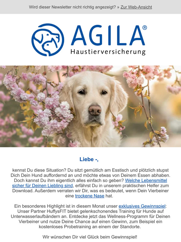 ➔ Gewinnspiel: Wellnessprogramm für Deinen Hund! ❤