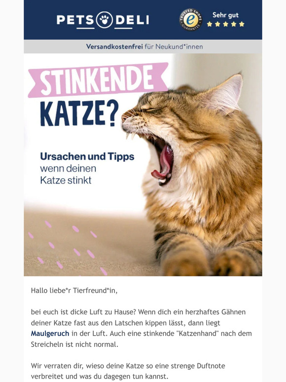 Stinkende Katze?