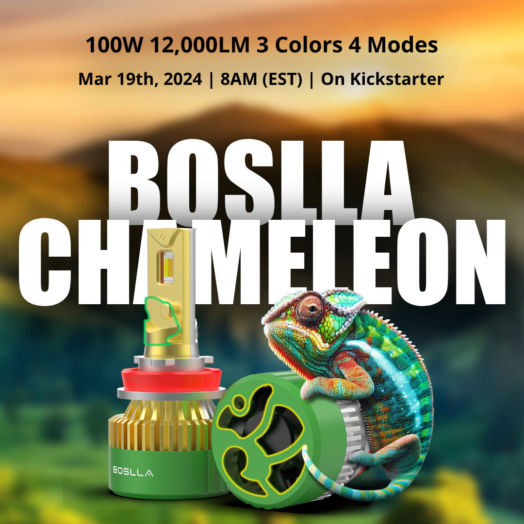 Boslla Chameleon