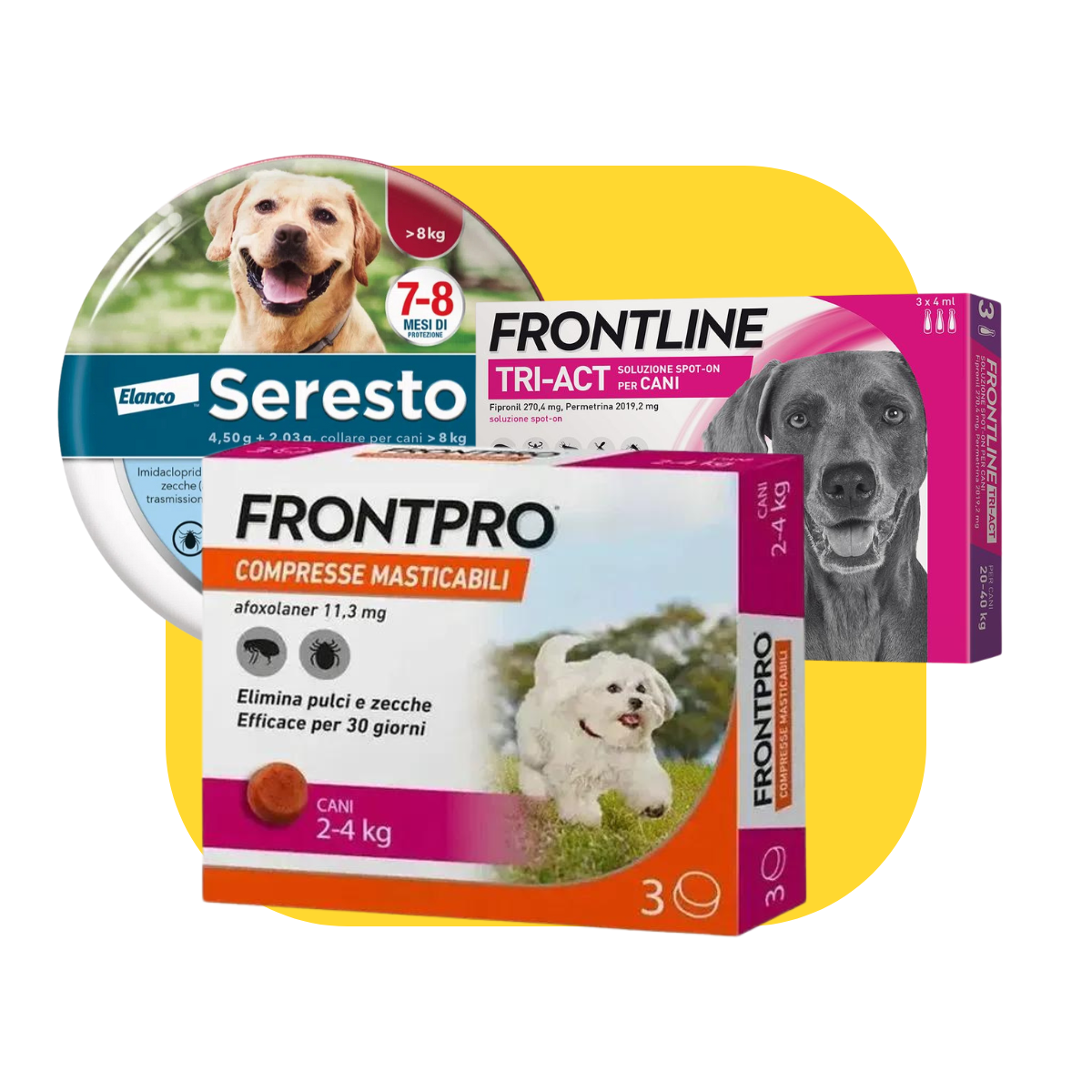 Accedi alla home page di QZ petshop