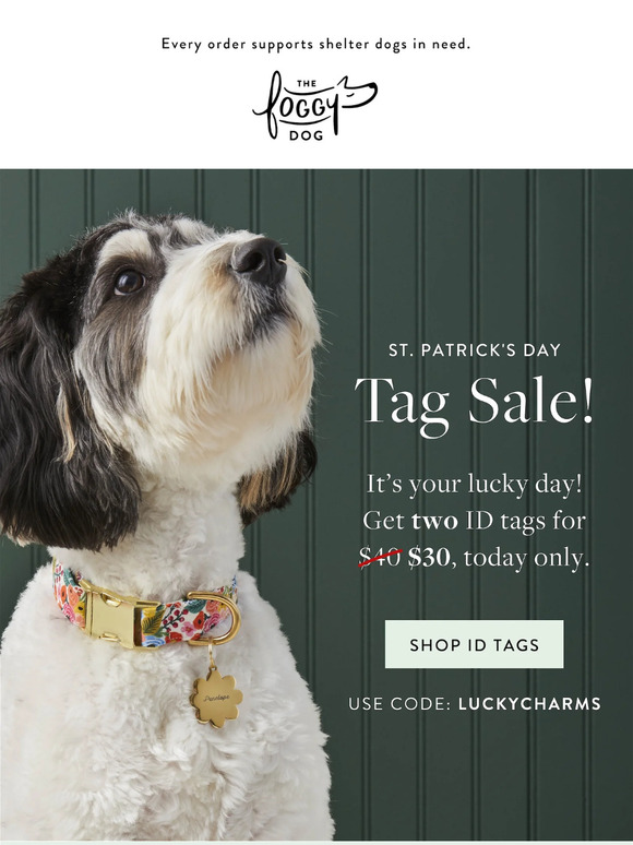 The Foggy Dog Email Newsletters Shop Sales, Discounts, and Coupon Codes