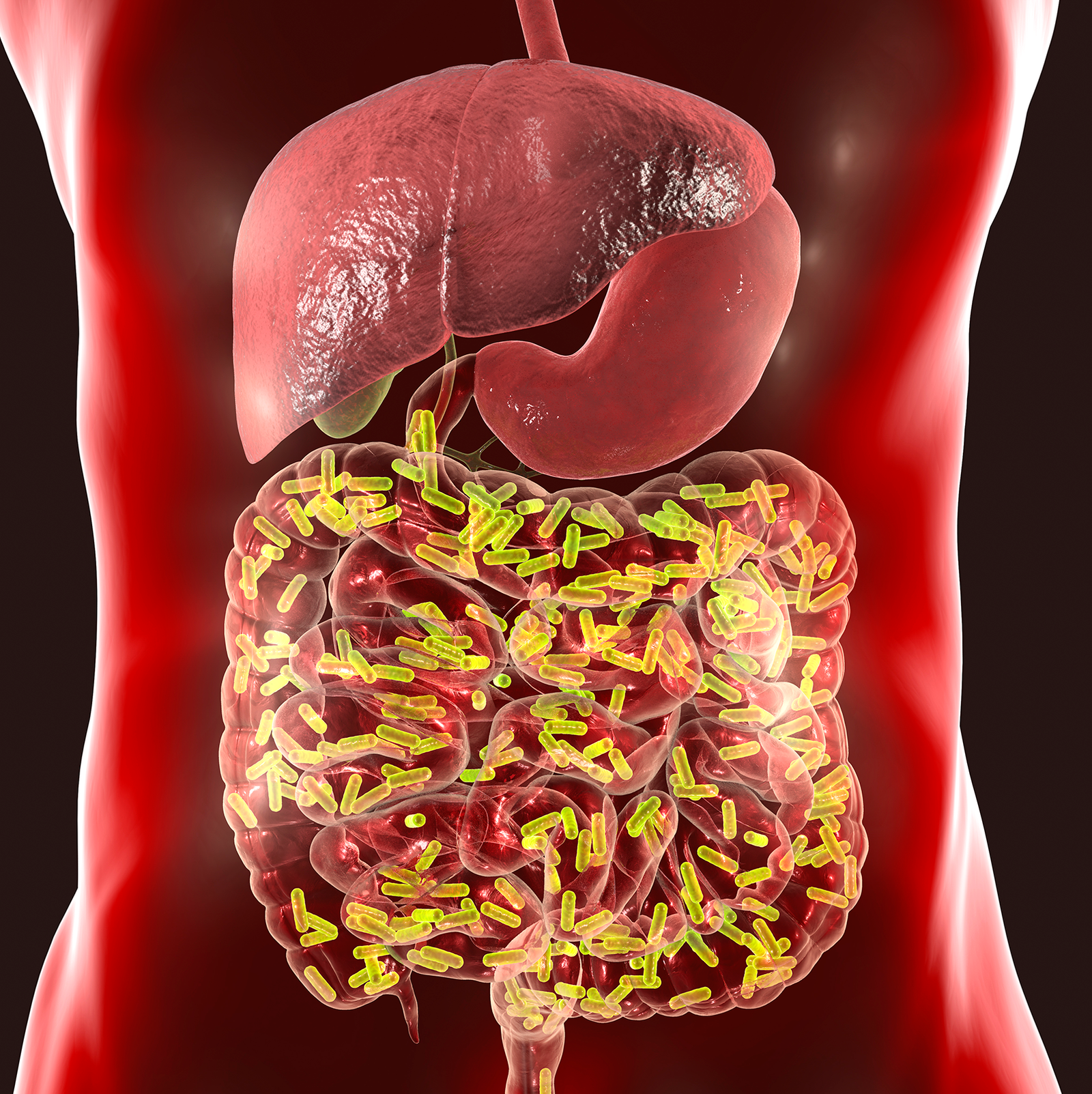What Science Really Says About Building a Healthier Gut