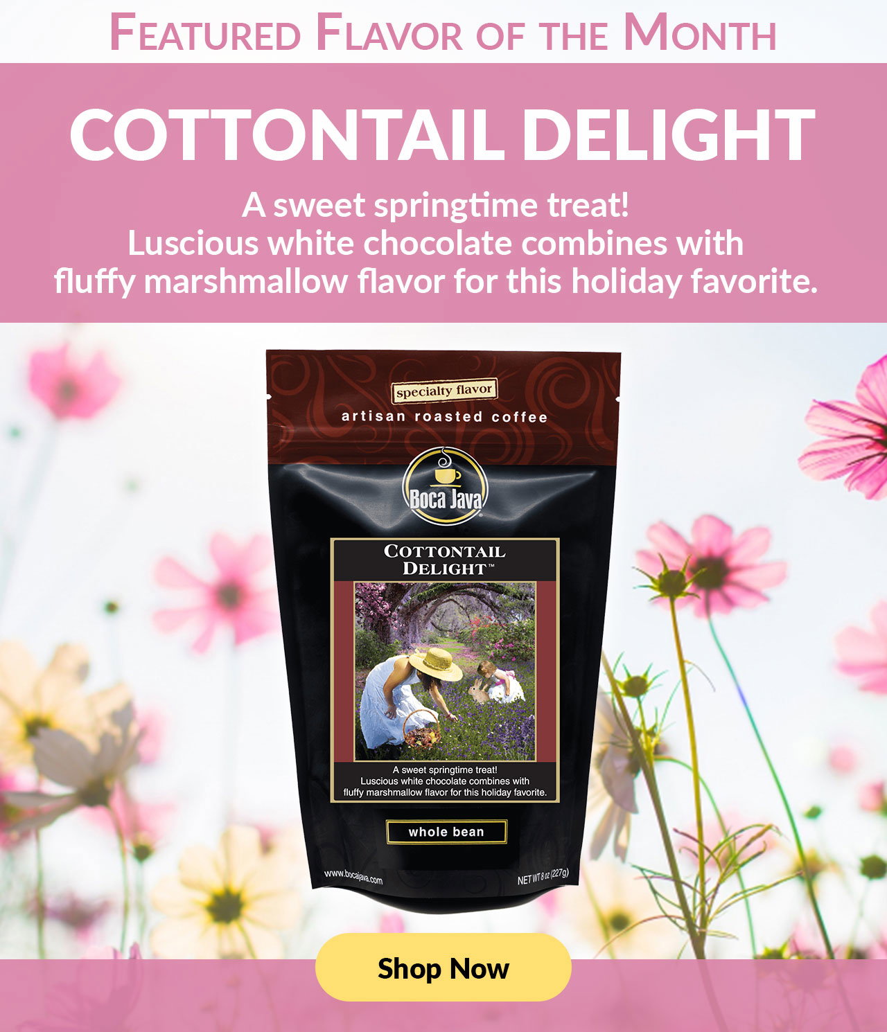 Boca Java: Cottontail Delight is BACK 🐰☕ | Milled