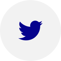 wizzair twitter
