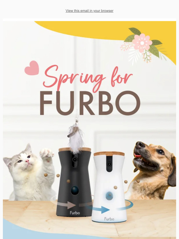 🐾 Snag Your Furbo at a Spring Steal - Starting at $90!