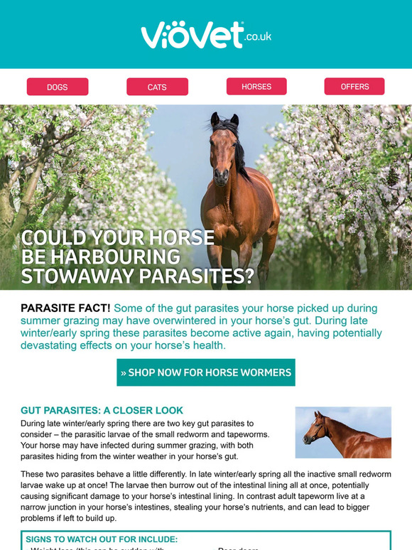 Could Your Horse Be Harbouring Stowawy Parasites?