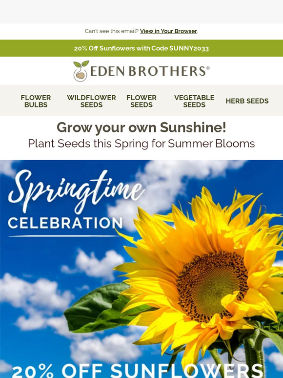 Eden Brothers Seed Company 🌻 Sunflower Sale 20 Off Giant Blooms