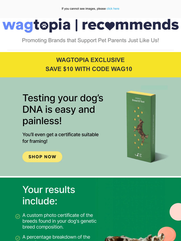 Discover Your Your Rescue Pup's Story