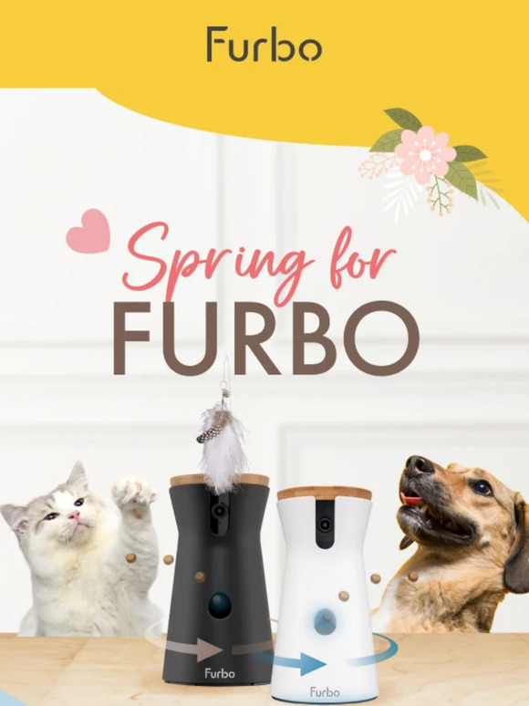 Spring into action from anywhere!🌼