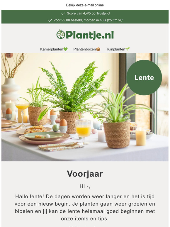 Lentekriebels: maak jouw huis klaar voor de lente 🌷
