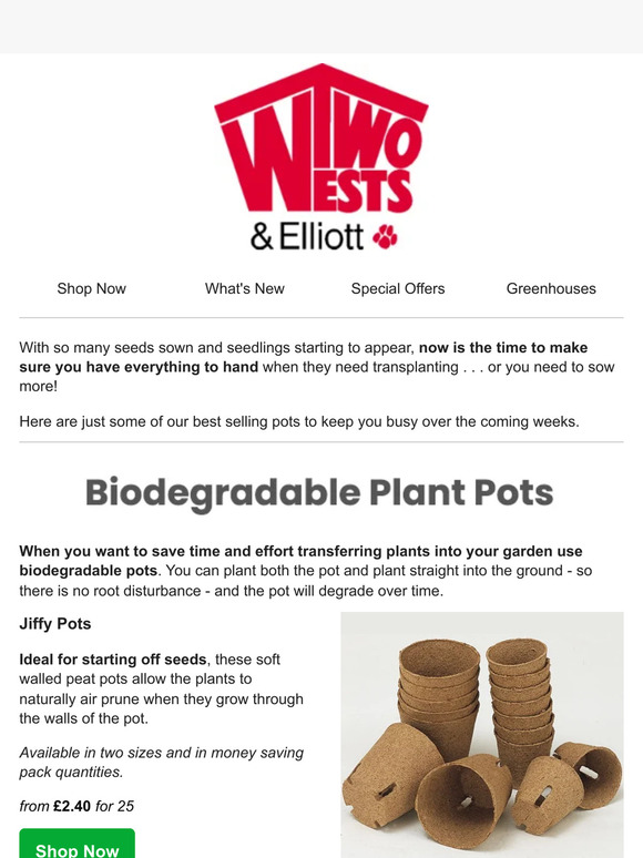 Gardening Essentials For March