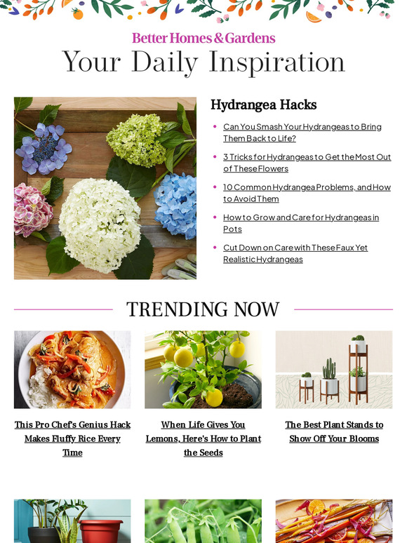 Better Homes and Gardens Can You Smash Your Hydrangeas to Bring Them