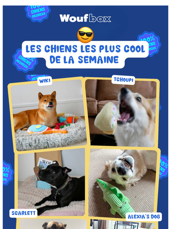 📆 Votre rendez-vous du dimanche