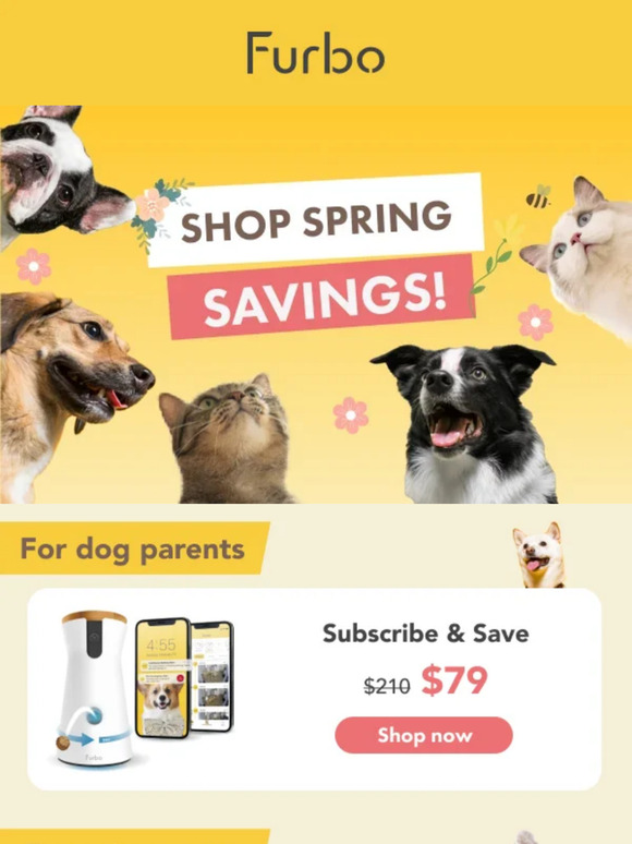 Limited time offer - treat your pet to Furbo's latest sale!