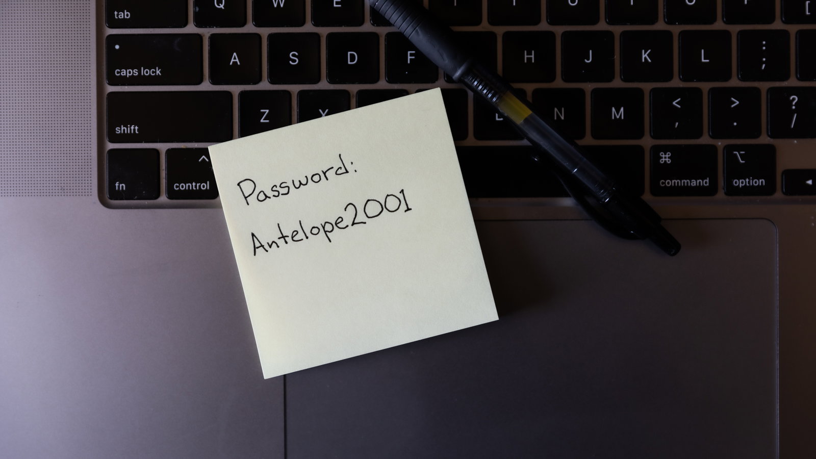 Best Password Manager in 2024