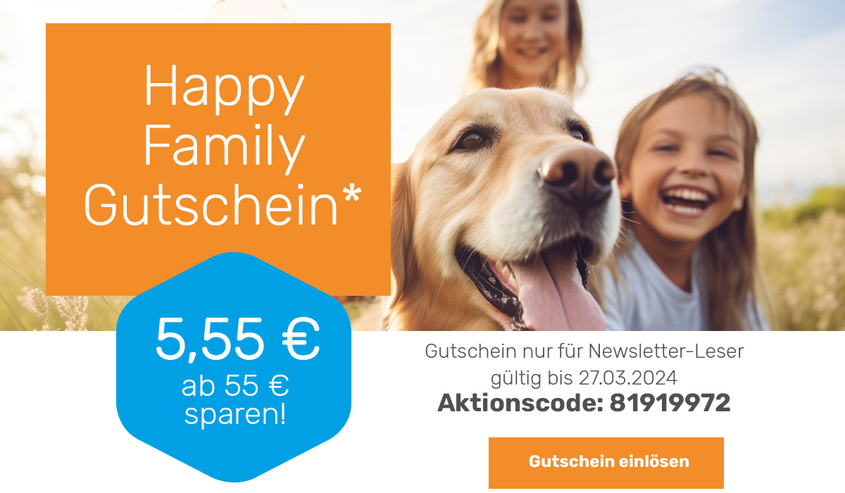 zum Shop