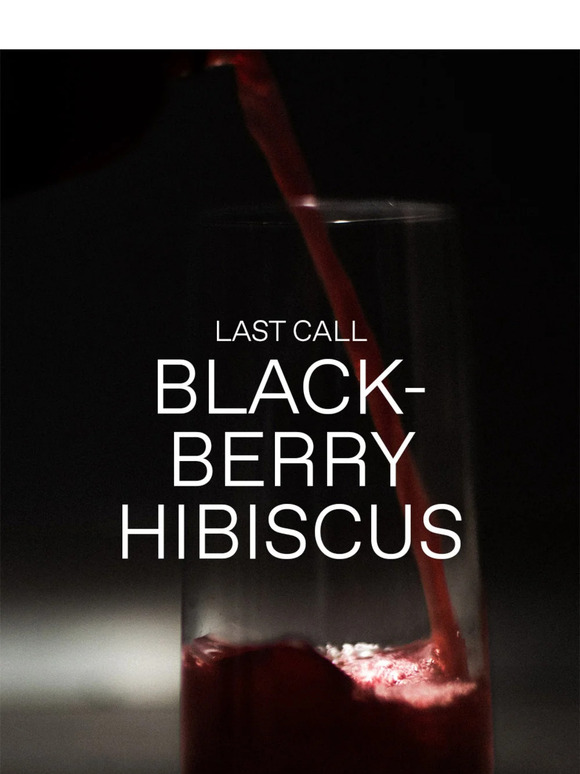 Last call for Blackberry Hibiscus