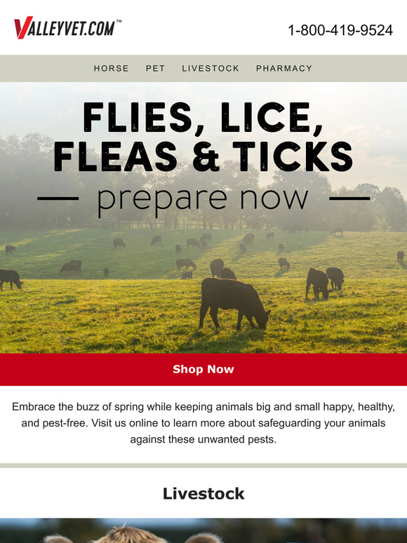 Valley Vet Supply What's the buzz? Look inside. Milled