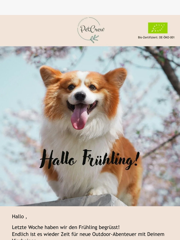 🌸 😎 Hurra, der Frühling ist da!
