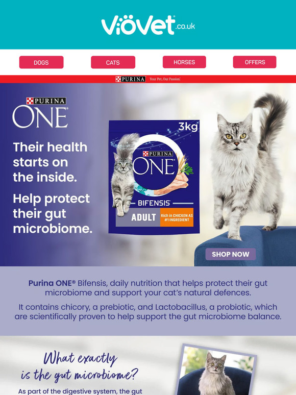 Discover Purina One Cat Food 🐱
