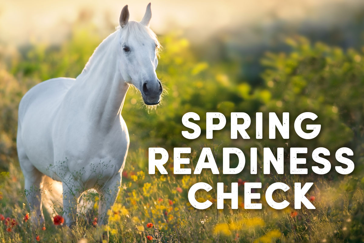 Valley Vet Supply Spring Readiness Check You ready? Milled