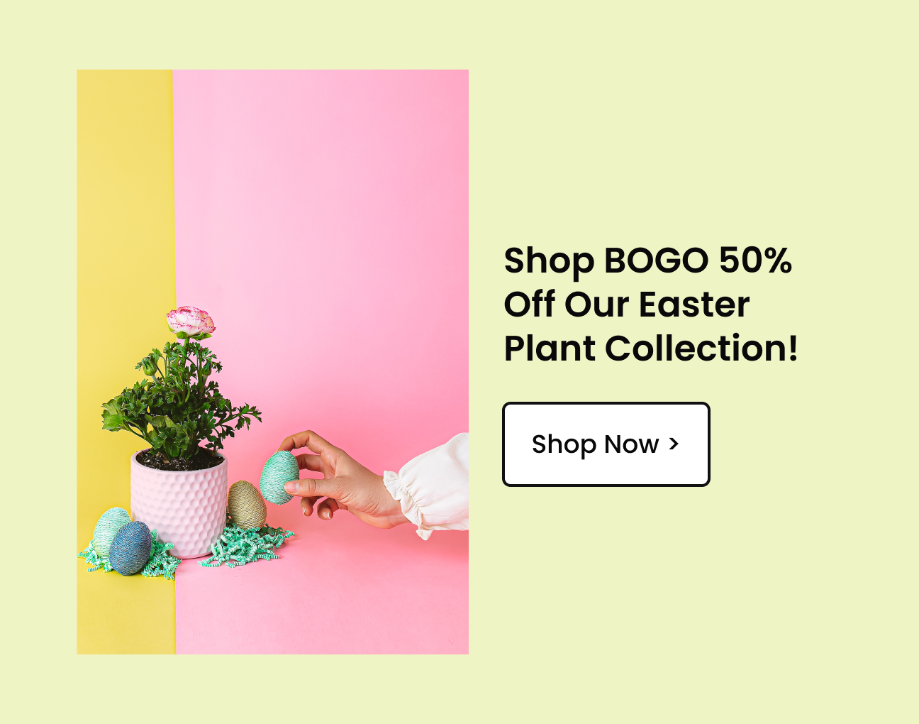 BOGO 50% Off The Easter Collection