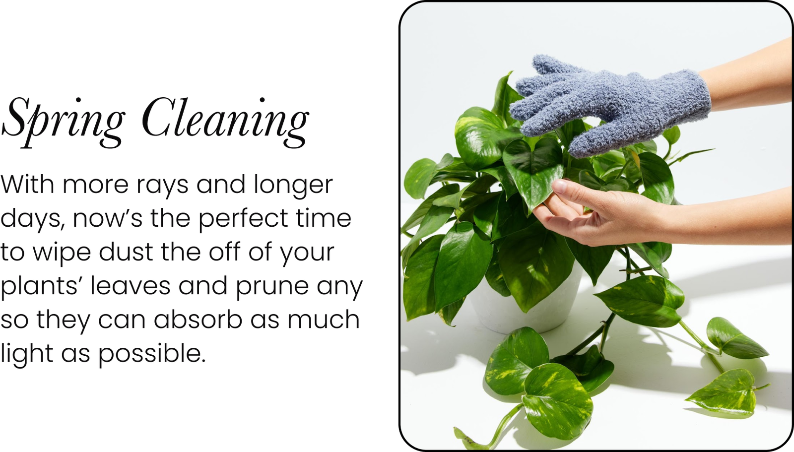 Spring Cleaning