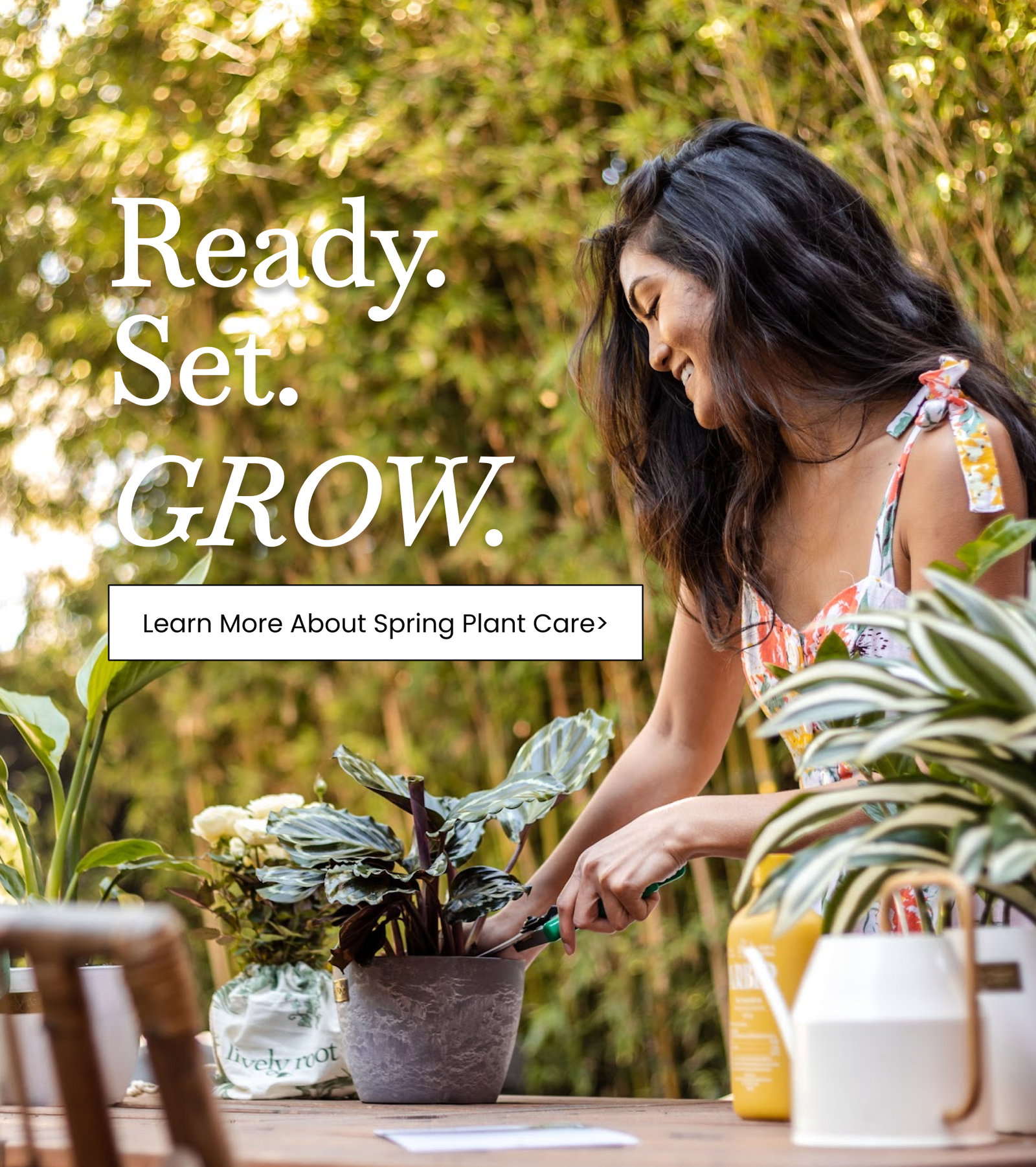 Learn More About Spring Plant Care