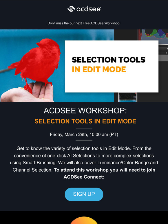 FREE Live Workshop Friday: Learn about Selection Tools!
