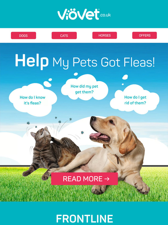 Help - My Pets Got Fleas!