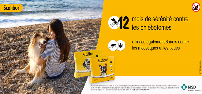 Scalibor : collier anti-tiques, anti-phlébotomes et anti-moustiques