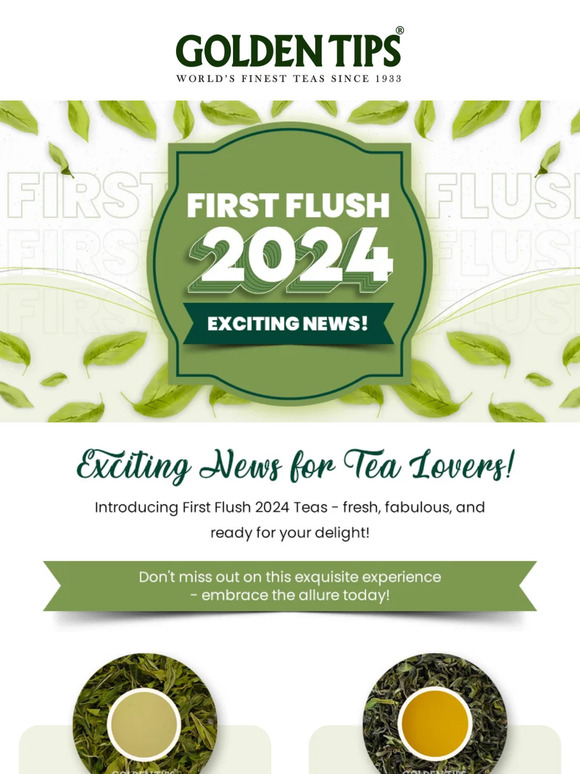 Golden Tips Tea: Just In: Fresh Darjeeling First Flush 2024 Teas Have ...