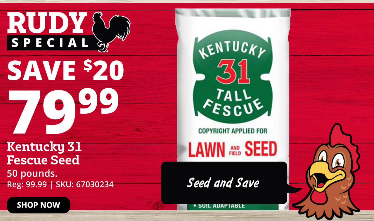 Rural Hurry, These Deals End Today! Lumber Jack Pellets