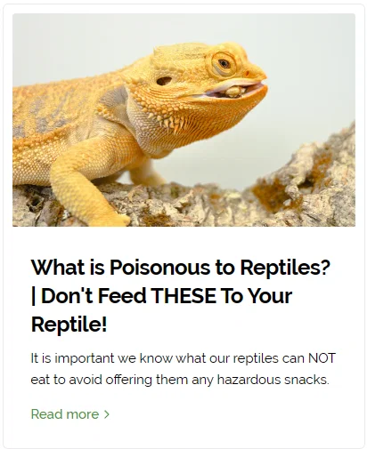 what is poisenous to reptiles