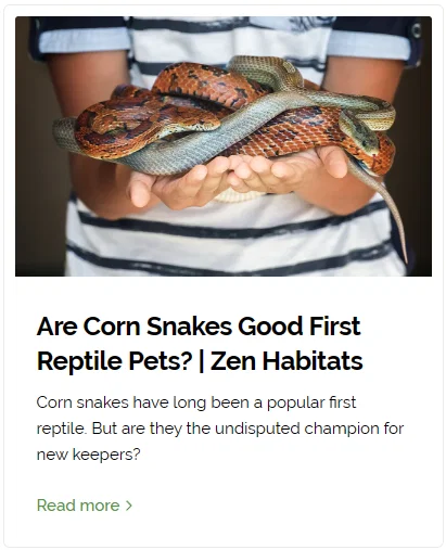 are corn snakes good first pets