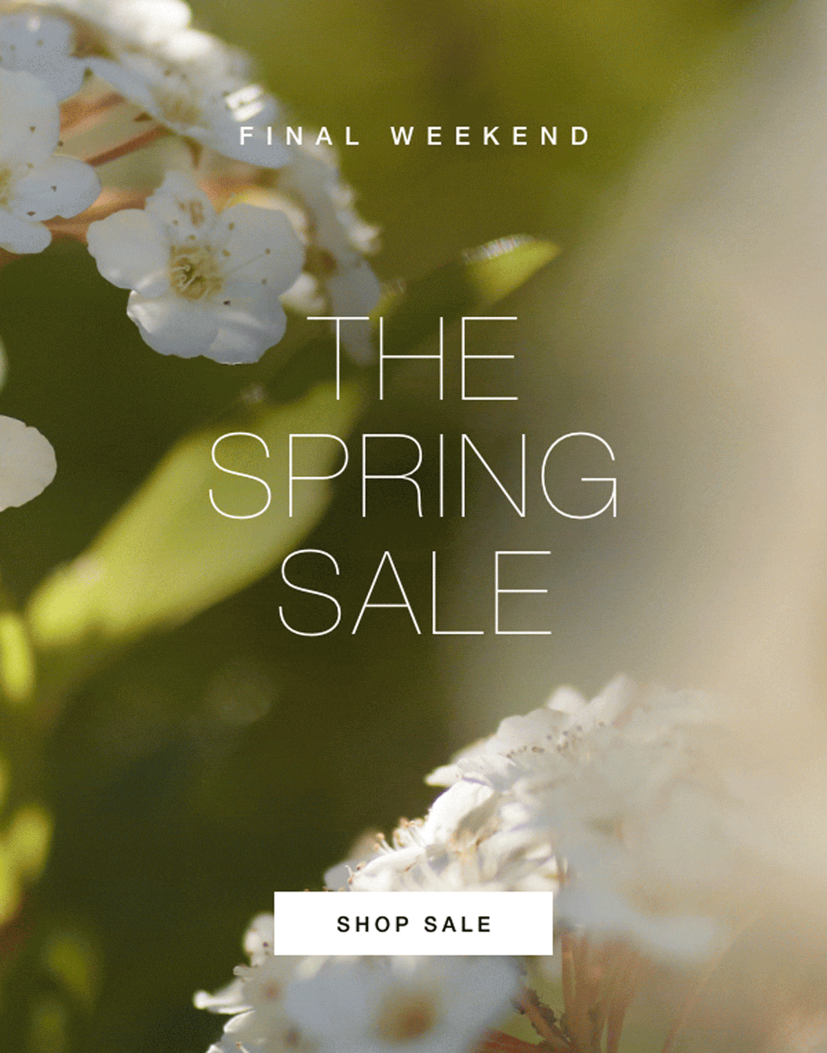 Arhaus Credit Card Approval - d65fvod