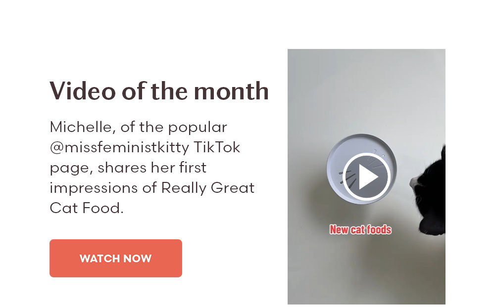 Video of the month Michelle, of the popular @missfeministkitty TikTok page, shares her first impressions of Really Great Cat Food.
