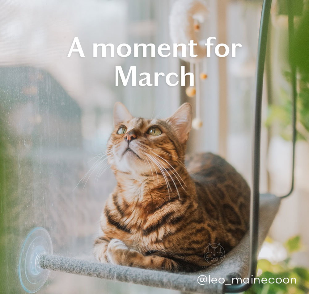 A moment for March