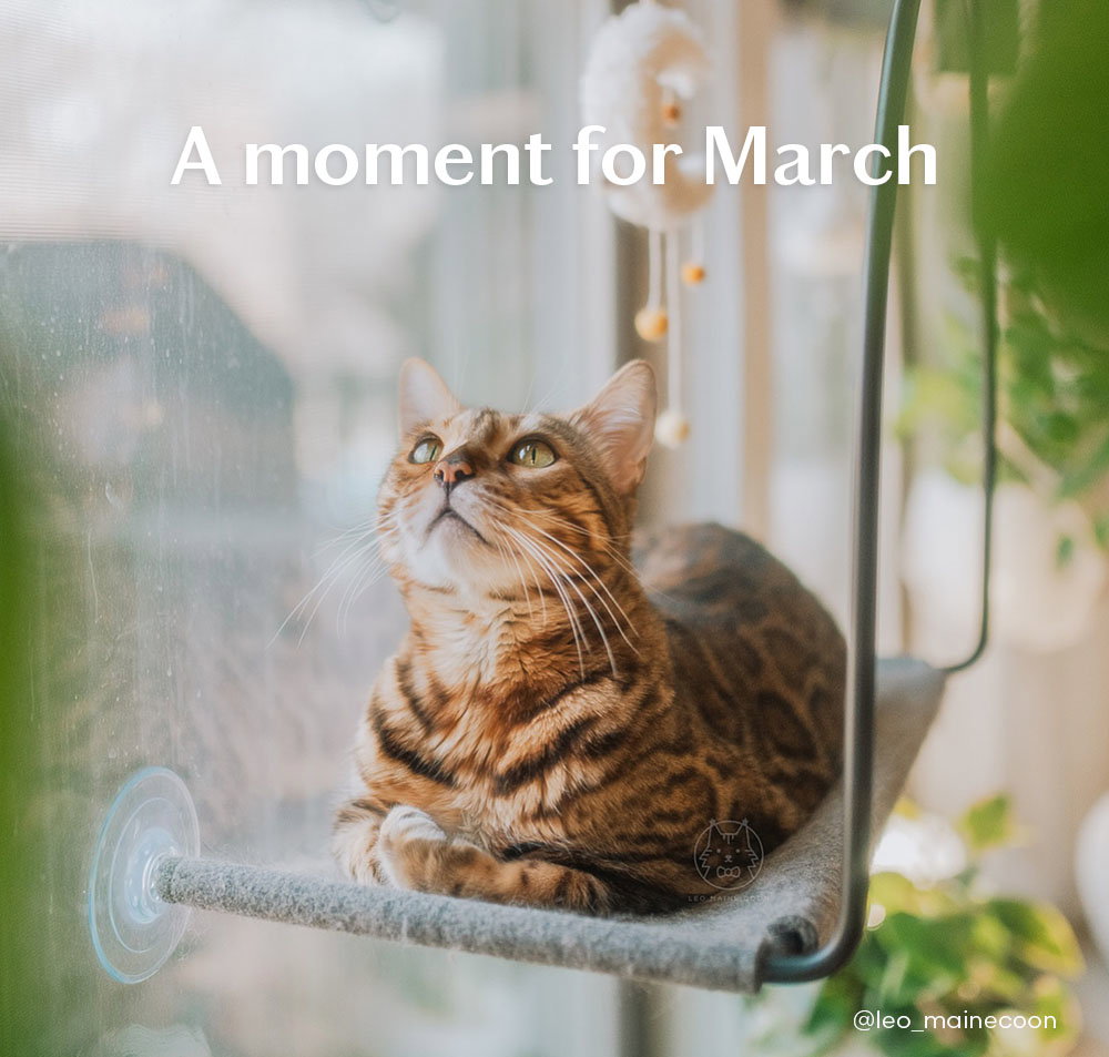 A moment for March
