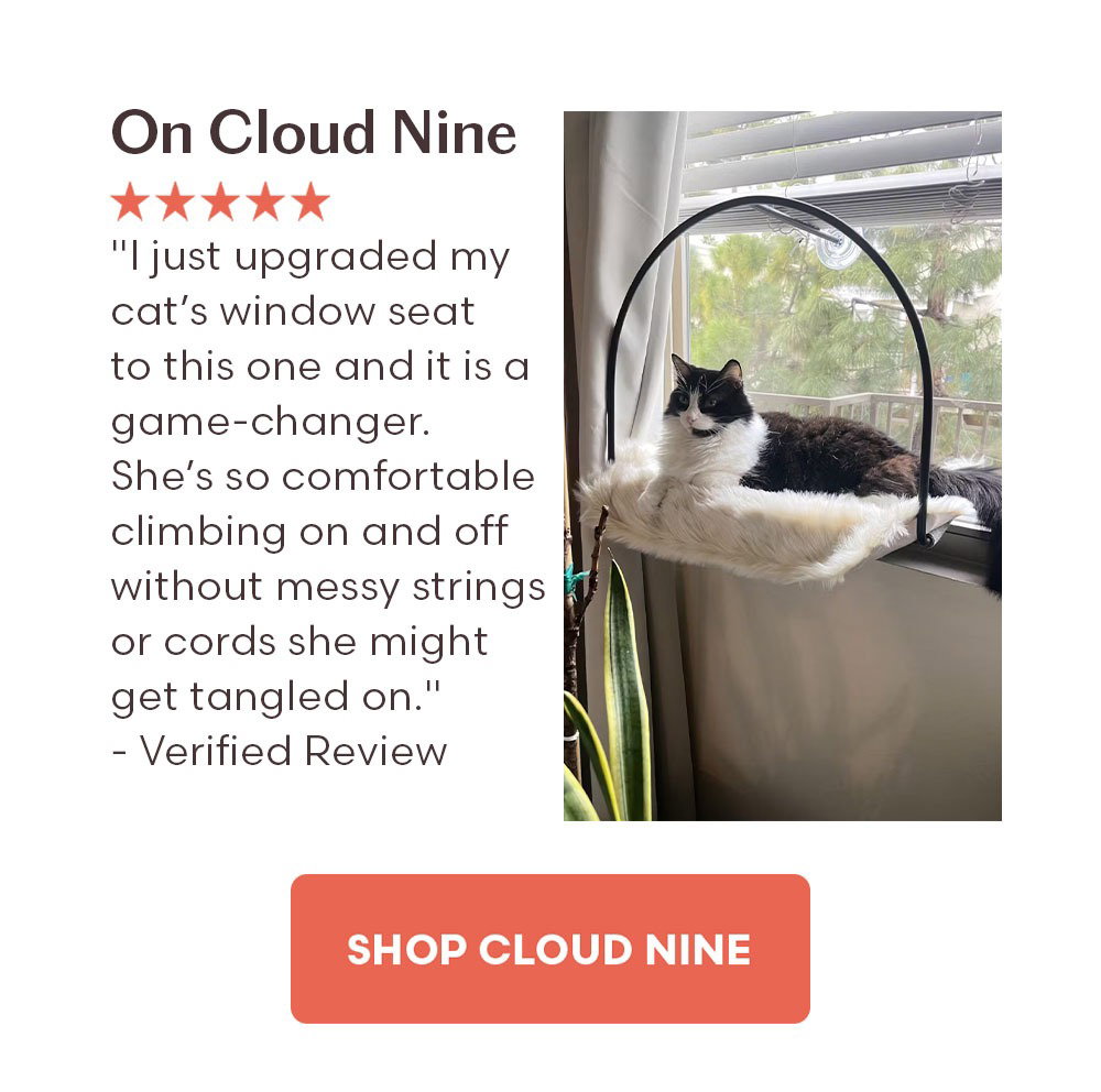 On Cloud Nine "I just upgraded my cat’s window seat to this one and it is a game-changer. She’s so comfortable climbing on and off without messy strings or cords she might get tangled on. Great purchase!" - Verified Review