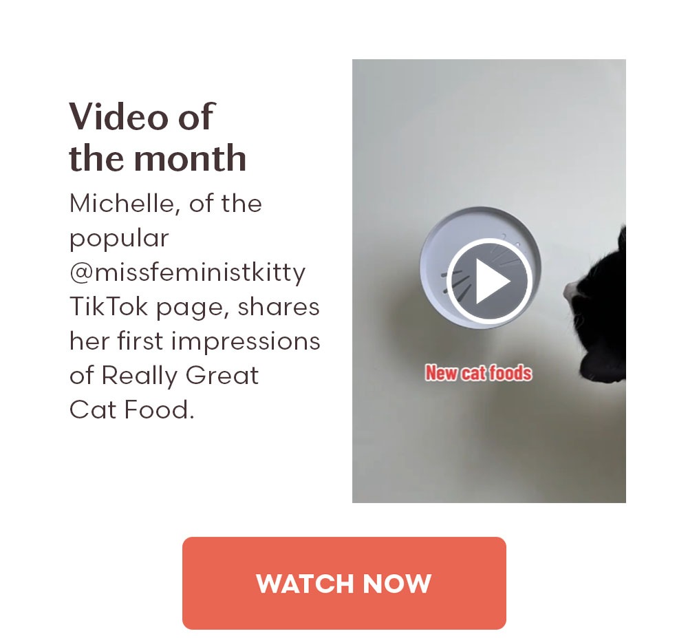 Video of the month Michelle, of the popular @missfeministkitty TikTok page, shares her first impressions of Really Great Cat Food.